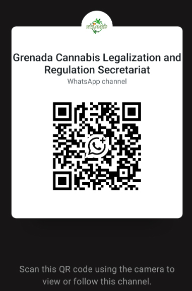 WhatsApp Channel
